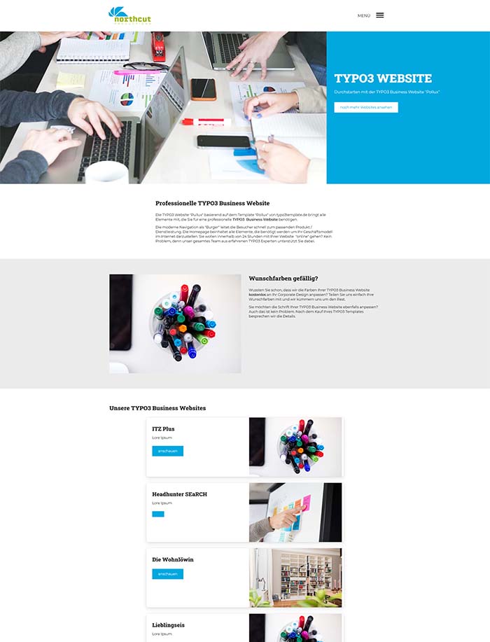 Website Template für Dienstleister "Pollux"